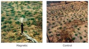 Care Free Water Conditioners - Image 7