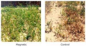 Care Free Water Conditioners - Image 8