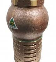 Alderdice Gun Metal Bronze Foot Valves 80mm-20mm