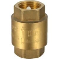 Brass Spring Loaded Check Valve 100mm-10mm