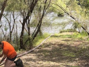 Solar Pumps Borehole / Dams - Image 5