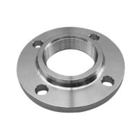 Stainless Steel BSP Flanges