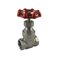 Stainless Steel Gate Valve BSP 316 Watermarked